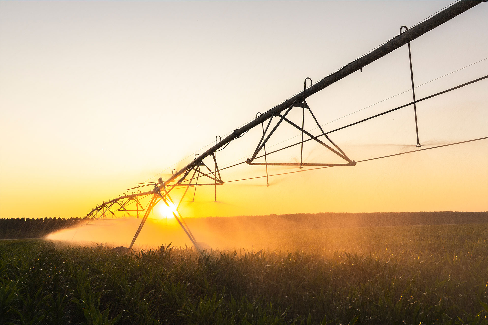 Bombeo solar: energía renovable para mover agua